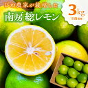 【ふるさと納税】びわ農家が栽培した 南房総レモン 3kg 千葉県 南房総市 ちばエコ農産物 ユーレカ 調味料 果物 フルーツ グリーンレモン イエローレモン 柑橘 お取り寄せ グルメ 送料無料