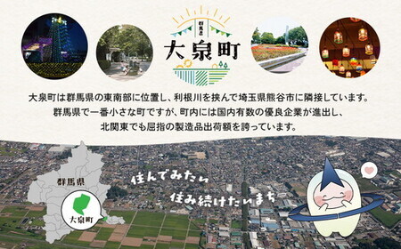 【9か月定期便】 】サントリーオールフリー350ml缶24本入り