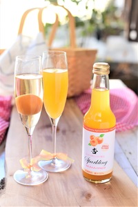 スカッと爽やか 杏スパークリング (炭酸・ノンアルコール6本セット)