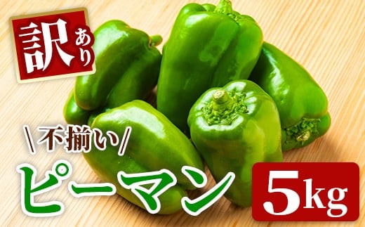 
            先行予約 《 朝採れ / 農家直送 》【訳あり】ふぞろいピーマン 5kg ピーマン【2026年6月上旬から発送予定】 新鮮野菜 新鮮 サラダ 野菜 BBQ 規格外 訳あり お取り寄せ 美味しい 料理 おうちごはん 新鮮 国産 日本産 岩手県 一関市 東北
          