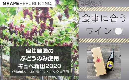 【自社農園のぶどうのみ使用】オレンジワイン「キュベ新田2020」 750ml × 1本 『(株)グレープリパブリック』 山形県 南陽市 [2705]