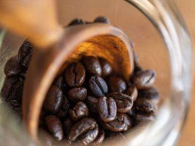 【ブレンド珈琲　オオアリクイのあくび（豆）3パック】 ブラジルメインのブレンド。穏やかでほろ苦く、ナッツやチョコレートの風味。