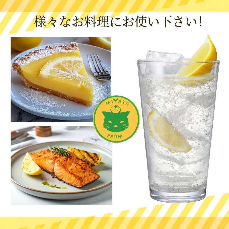 【2026年11月発送】 レモン 2kg 秀品  国産 檸檬 ワックス不使用 防腐剤不使用 