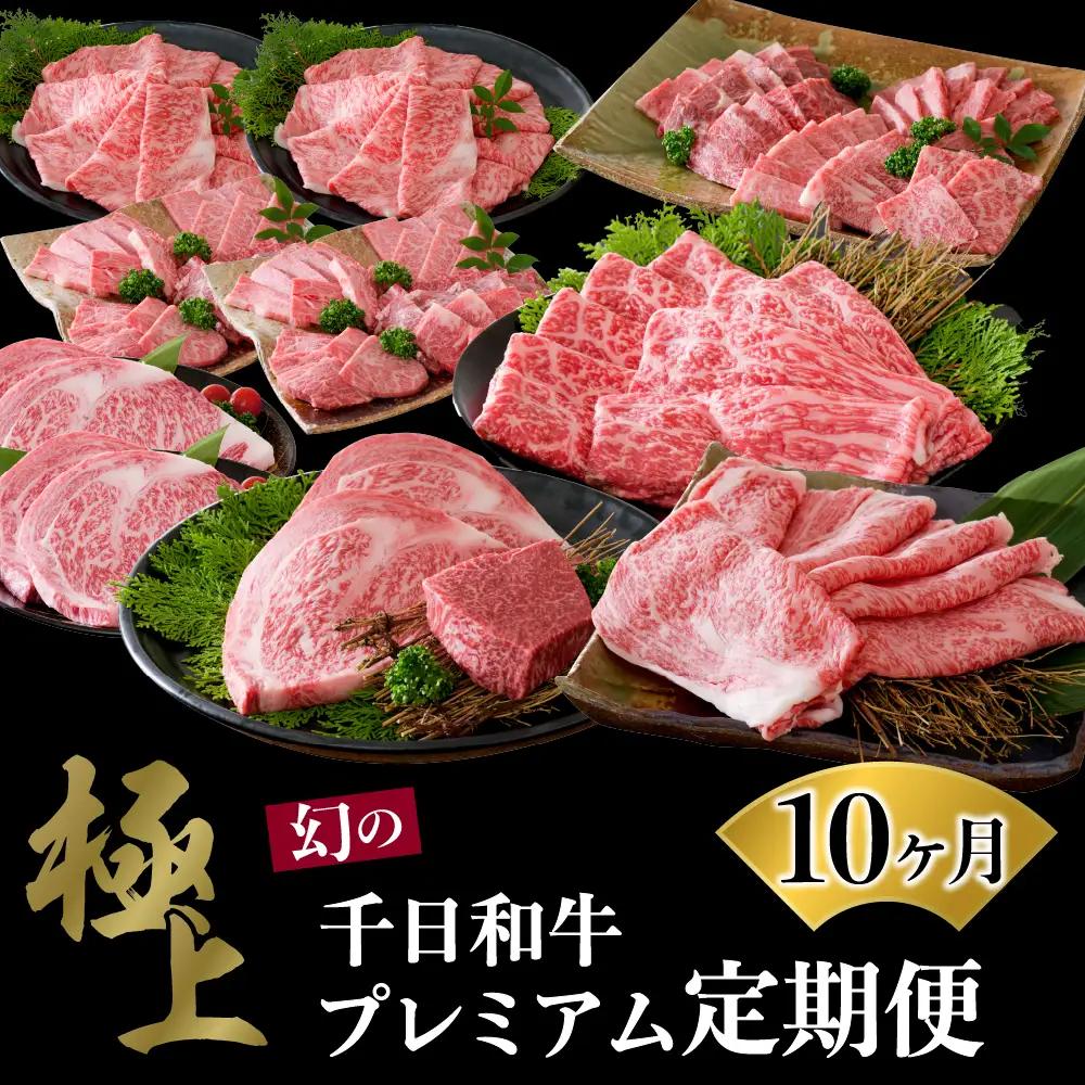 定期便 10ヶ月 千日和牛 幻の山形牛 極上和牛 山形牛 定期便