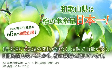 ねりうめ酒 じゃばら酒 飲み比べ 720ml×2本