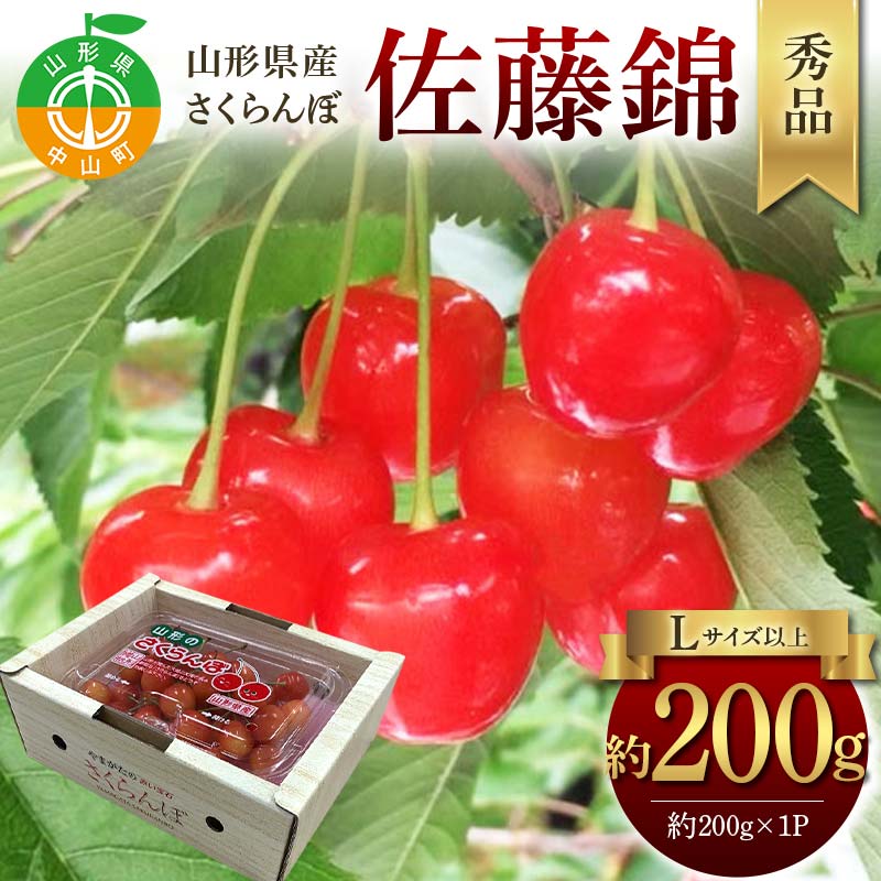 【ふるさと納税】令和8年産【先行受付】山形県産さくらんぼ＜佐藤錦＞秀品 約200g×1P Lサイズ以上 期間限定 数量限定 山形県産 サクランボ フルーツ 果物 くだもの 贈答 F4A-0965
