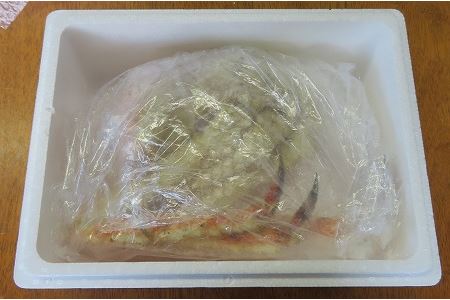 ＜定期便＞【北海道根室産】たらばがに尽くし(2回発送) D-59008