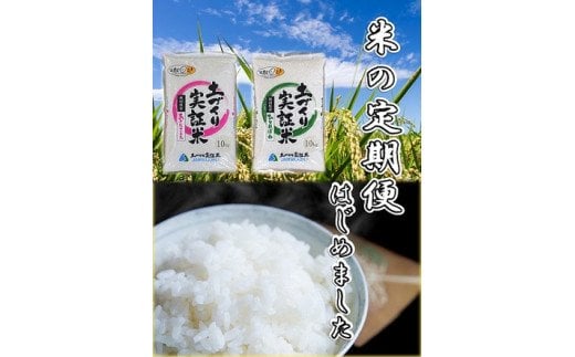 【白米】《定期便》 10kg (5kg袋小分け) ×11回 令和6年産 あきたこまち 土作り実証米 合計110kg 秋田県産|08_jas-011011_イメージ3