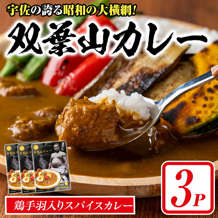 【ふるさと納税】双葉山カレー(計540g・180g×3P) 鶏肉 鳥肉 とりにく とり肉 お肉 カレー チキンカレー スパイスカレー レトルト 簡単調理 常温 保存【115601400】【SFPコンサルティング】