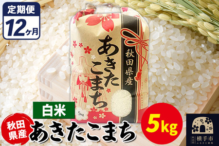 《定期便12ヶ月》あきたこまち 5kg【白米】令和7年産 秋田県産 こまちライン