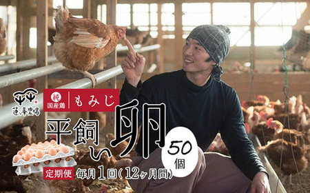 【定期便12ヶ月】 平飼いたまご 50個【 卵定期便  平飼い卵  平飼いたまご 平飼い卵  平飼いたまご 平飼い卵  平飼いたまご  】
