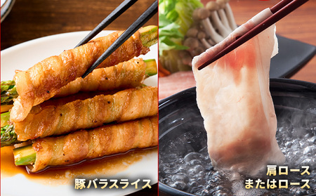 【年末感謝祭】豚肉 ひごのポーク バラエティセット 4.8kg《1月発送予定》 豚肉