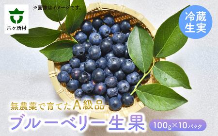 【2025年7月～発送予定】ブルーベリー生実 A級品　1kg　100g×10パック