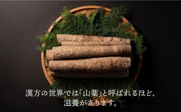 【選び抜いた「粘り」と「香り」】自然薯「九千部朱薯」600g～650g（2本）＜株式会社九千部＞那珂川市 [GAZ001]