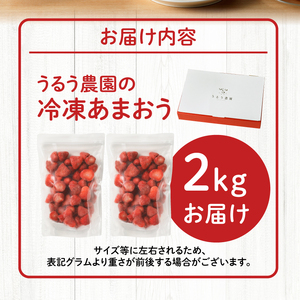 【2027年1月より順次発送】うるう農園の冷凍あまおう2kg_あまおう 2kg 冷凍 甘い 濃厚 新鮮 いちごの王様 うるう農園 いちご 果物 アレンジ おやつ フルーツ スイーツ スムージー ジャム