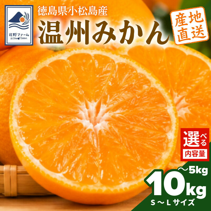 【ふるさと納税】 【2026年10月下旬順次発送】　みかん 5kg/10kg 温州みかん S~Lサイズ 小松島市 ミカン mikan 蜜柑 フルーツ 旬 美味しい 贈答 プレゼント