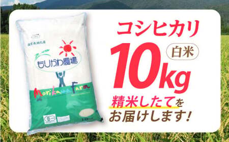 コシヒカリ10kg[AQBL003]白米白米白米白米白米