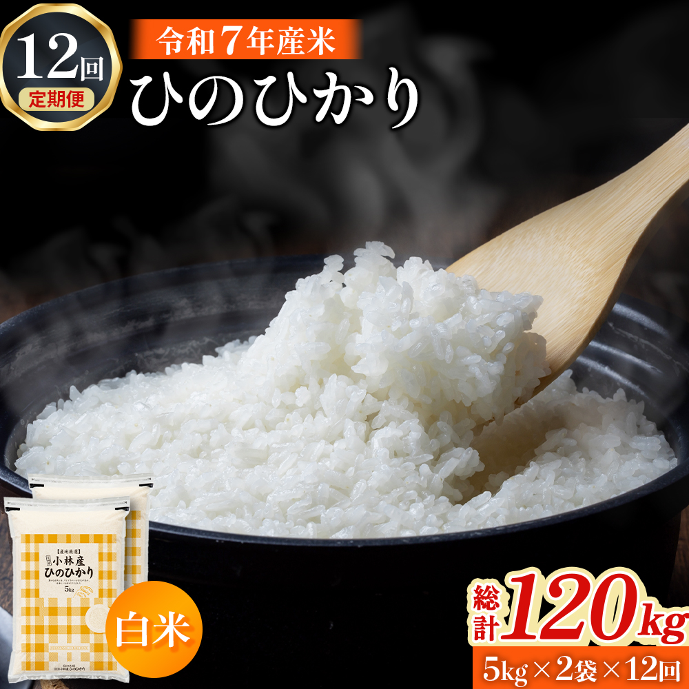 【定期便 全12回】【令和7年産米】ヒノヒカリ 10kg×12回（お米 米 ひのひかり 令和7年産 国産 人気 お弁当 定期便 宮崎県 小林市）