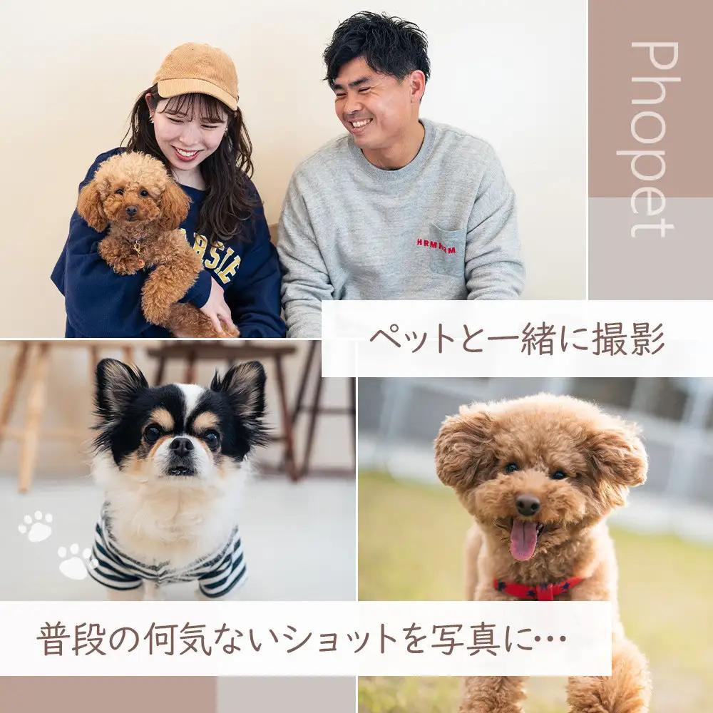 ペットスタジオPhopet 撮影利用券3000円分相当