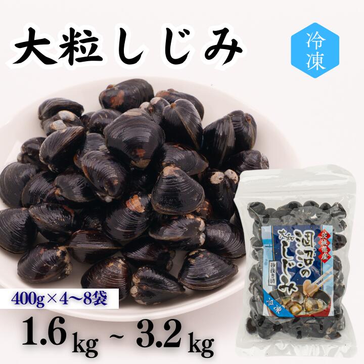 【ふるさと納税】 涸沼産 大粒しじみ （1.6kg～3.4kg）