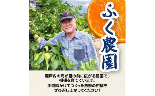 【先行受付】石地みかん2kg 2026年12月発送予定 柑橘 ミカン 果物 くだもの フルーツ 瀬戸内 251021