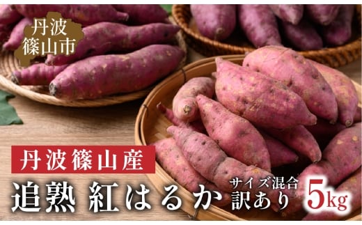 【訳あり】杉尾農園 丹波篠山産 さつまいも 紅はるか 5kg　さつまいも 追熟 紅はるか サイズ混合 5kg （M〜2L）焼き芋 天ぷら さつま芋 さつまいも