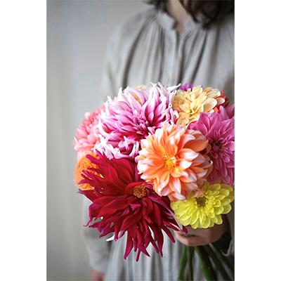 ふるさと納税 芸西村 【毎月定期便】芸西村産生花ダリア花束 ブーケ 初回花瓶付 毎回延命剤付 全3回 |  | 03