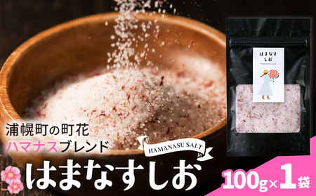 北海道産 はまなすしお 100g 1袋 岩塩 ハマナス 花びら 調味料 浦幌