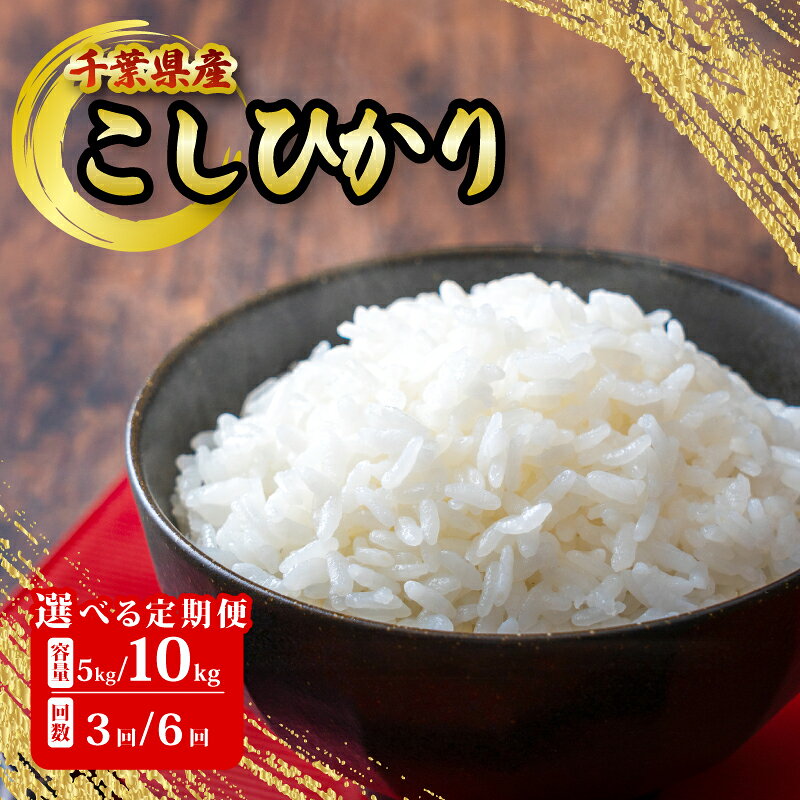 【ふるさと納税】 令和7年産 こしひかり 5kg 10kg 定期便 千葉県産 米 白米 お米 おこめ ご飯 ごはん こしひかり 国産 千葉県 銚子市 根本商店 お弁当 おにぎり 朝食 昼食 夕食 お取り寄せ グルメ 食品 災害 防災 ギフト 贈り物 贈答 プレゼント 送料無料 和食 保存