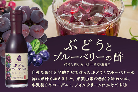 内堀醸造 フルーツビネガー飲み比べセット 360ml×2本 果実酢 有機りんご ぶどうとブルーベリー 飲む酢