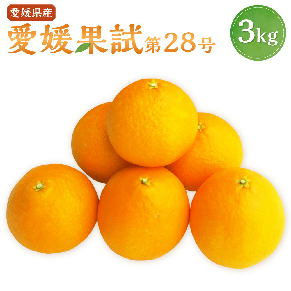 【ふるさと納税】数量限定！柑橘農家を目指す愛媛県立農業大学校の学生が栽培！愛媛果試第28号 3kg 1箱 不揃い みかん ミカン 柑橘 オレンジ フルーツ 果物 くだもの GLOBALG.A.P.認証 愛媛県 送料無料 【2025年12月上旬～12月下旬発送予定】(345)