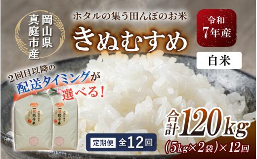 ＜定期便 全12回＞令和7年産 真庭市産きぬむすめ 白米10kg(5kg×2袋)×12回 / お米 国産 岡山県 米 人気 ブランド 2025年産 【tkns-tkb018-cho】