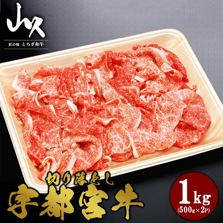 【ふるさと納税】宇都宮牛 切り落とし 計1kg（500g×2P）