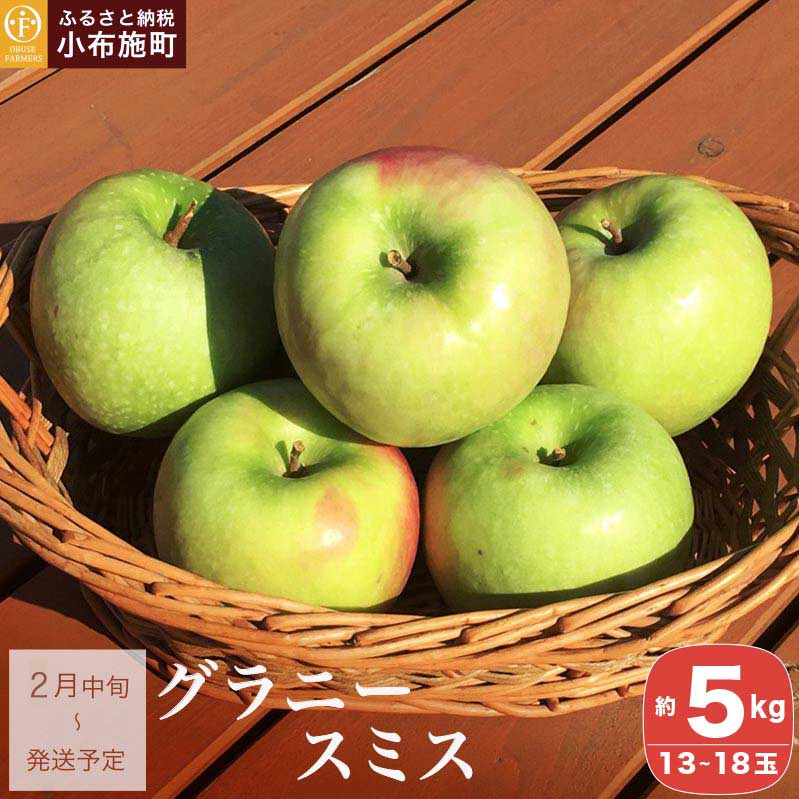 グラニースミス 約5kg 13～18玉［ おぶせファーマーズ ］りんご フルーツ 果物 くだもの 長野産 信州産 【2026年2月中旬～順次発送】