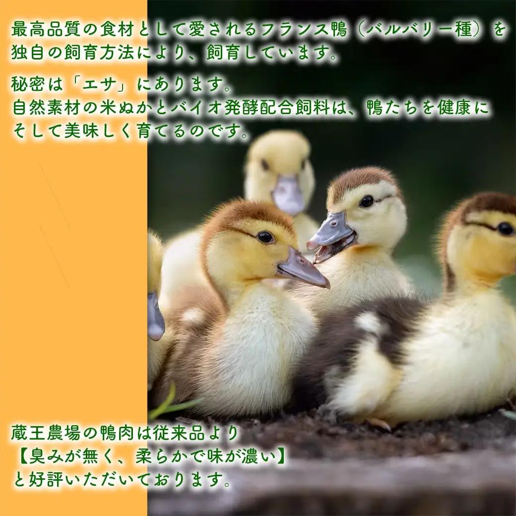蔵王鴨　ジャーキー　40g×2袋　【04301-0788】