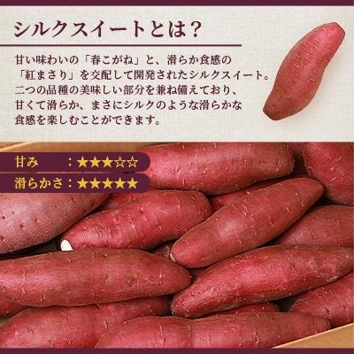 ふるさと納税 枕崎市 シルクスイート 小分け8袋入り 小ぶりサイズ さつまいも 鹿児島県 A2-4 |  | 01