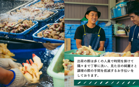 R5-081．【早期受付・期間限定】みずみずしさがたまらない！新生姜約3kg【2024年5月下旬～9月上旬配送】