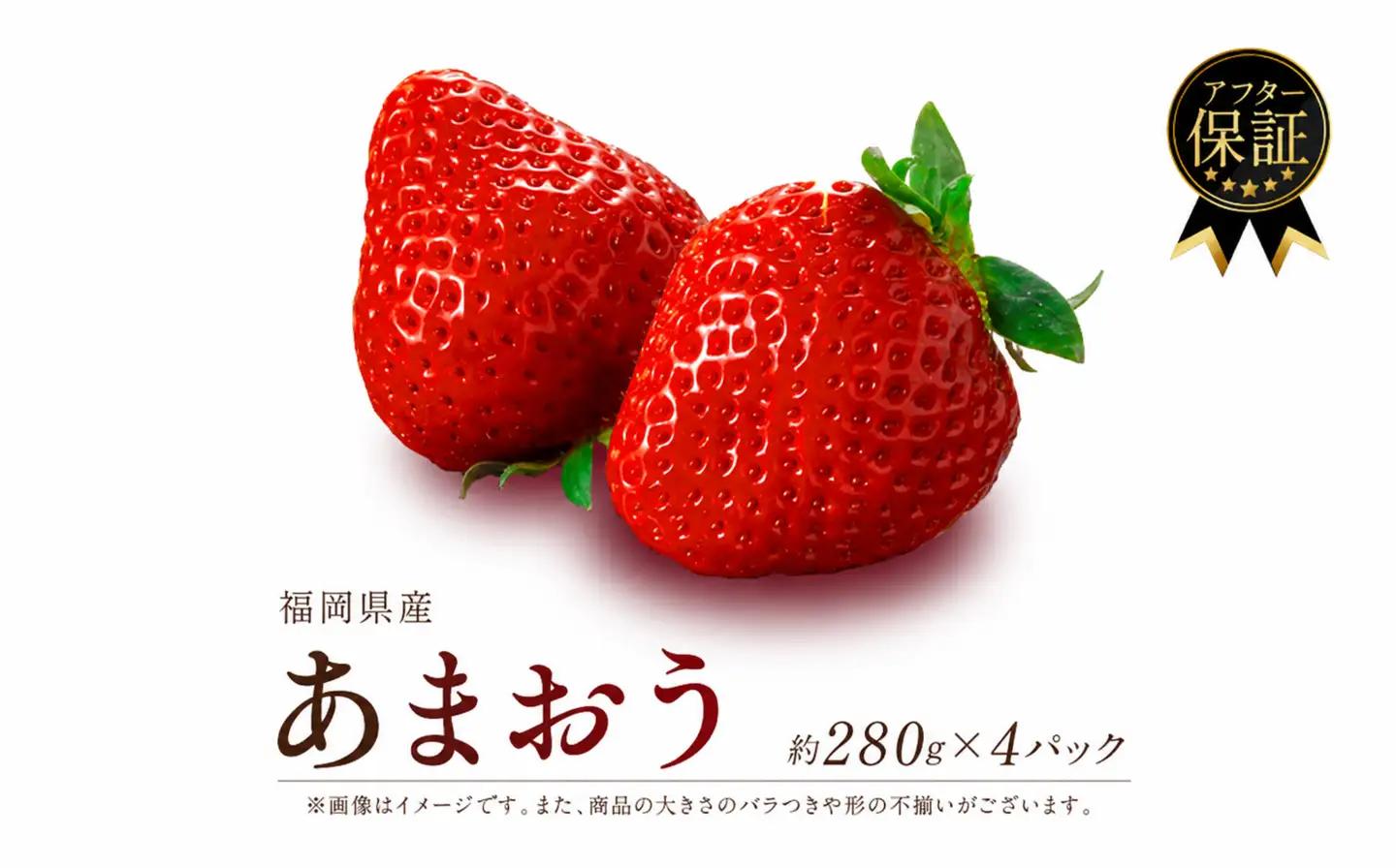 【2-3月発送】エコファーマー いちご 1120g | いちご SEM