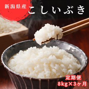 ≪ 定期便 ≫ 令和6年産 新潟県産 こしいぶき 計 24kg (8kg× 3ヶ月 ) 1配送あたり8kg(2kg袋×4個) 精米 し立てをお届け 新潟 のど真ん中 見附市 米 お米 白米 国産 ごはん ご飯