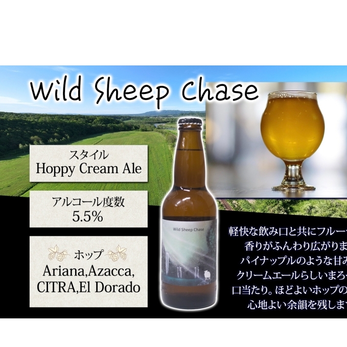 美深のクラフトビール　定番その2の12本セット【北海道美深町】_イメージ2