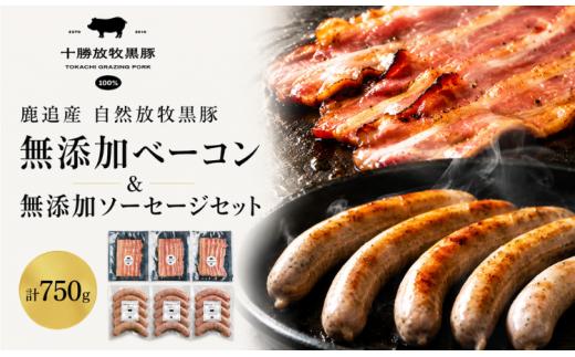 鹿追産 自然放牧圧巻の黒豚 無添加ベーコン＆無添加ソーセージ 【 ふるさと納税 人気 おすすめ ランキング 黒豚 豚 豚肉 黒豚肉 ソーセージ ベーコン 豚ソーセージ 豚ベーコン 北海道 鹿追町 送料無料 】 SKN008