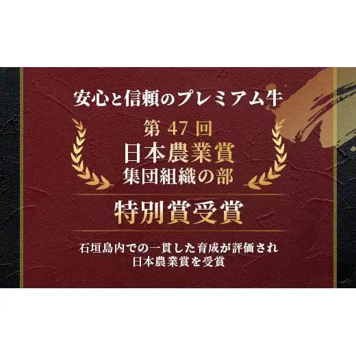 石垣牛100% ハンバーグ (100g×3個) ＆ 石垣牛 お任せ焼肉 (180g)