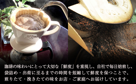 コーヒー ドリップバッグ 富士珈琲 津焙煎 コーヒー【24袋】