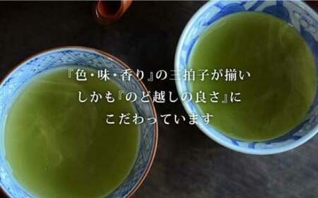 【数量限定】深蒸し茶 上級茶 詰合せ 100g×5本セット 【有限会社 佐とう製茶】[ZAS001]