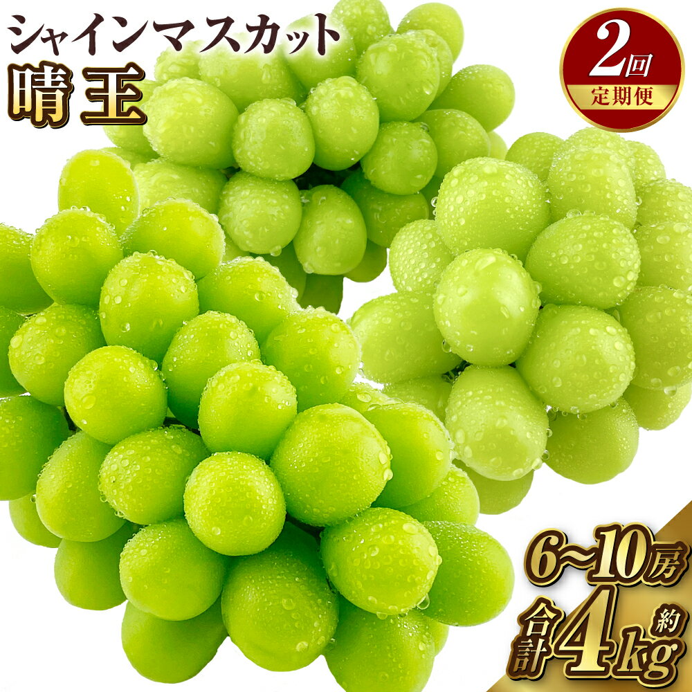 【ふるさと納税】【2回定期便】シャインマスカット晴王 約2kg(3～5房) 2025年 先行予約受付中岡山県産 種無し 皮ごと食べる みずみずしい 甘い フレッシュ 瀬戸内 晴れの国 おかやま 果物大国 ハレノフルーツ　お届け：2025年9月～2025年10月