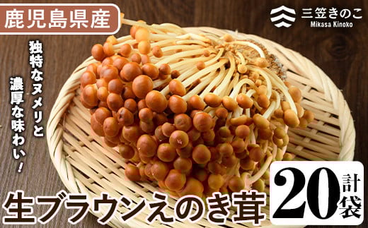 
            生ブラウンえのき茸(20袋・計3.6kg)国産 エノキ きのこ 茸 キノコ 個包装【三笠えのき茸生産組合】akn010-09
          