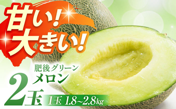 
            【数量限定】【先行予約】肥後グリーンメロン 2玉（1玉1.8～2.8㎏）【鹿本農業協同組合】 [ZAG014]
          