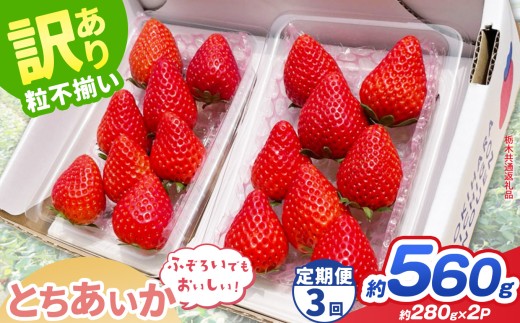 【先行予約】【定期3回】訳あり とちあいか 約 280g × 2P ｜【栃木県共通返礼品】いちご イチゴ 苺 訳あり 不揃い 粒 ハート 栃木県 那珂川町 送料無料