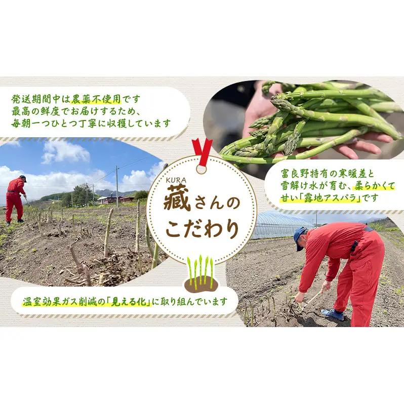 【2027年5月より発送】北海道 富良野市産 アスパラ 緑 (Lサイズ) 約1kg (30～45本前後) 朝どり 露地 グリーン アスパラガス 詰め合わせ 野菜 新鮮 数量限定 先着順【藏ファーム】