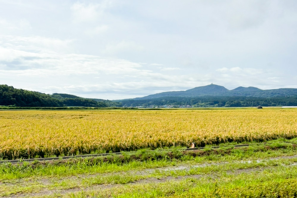 《令和7年産 新米受付》べっかく米 あきたこまち（上白米）3kg 秋田県 男鹿市 男鹿ファーム直売所